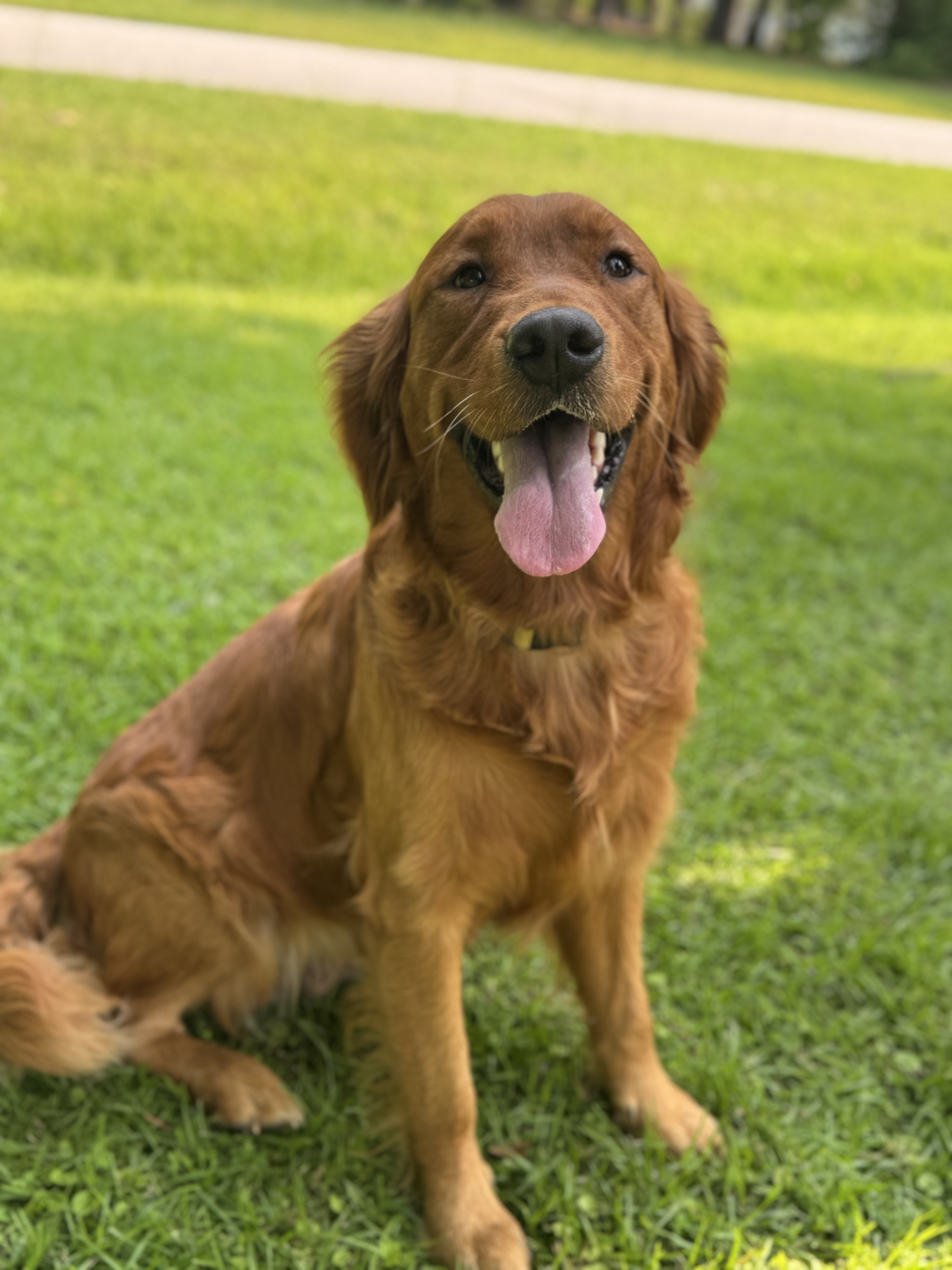 Winnie