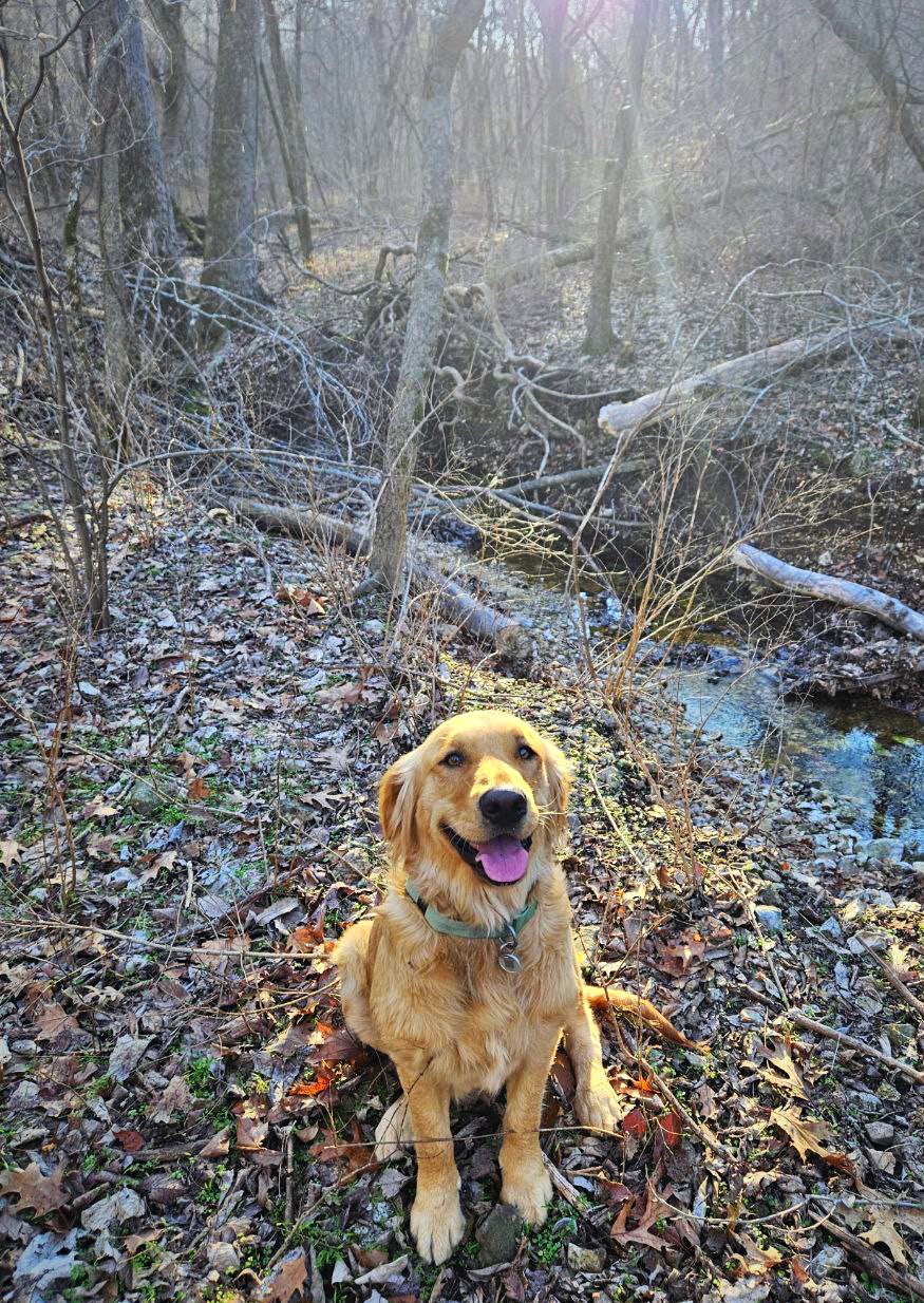 Dixie